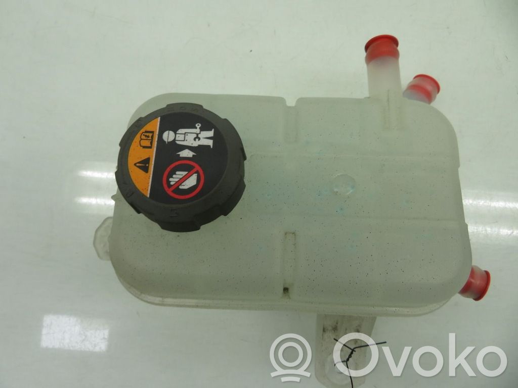Hyundai Tucson IV NX4 Vaso di espansione carburante