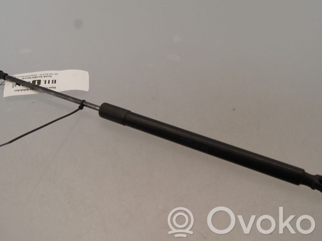 Volkswagen e-Golf Ammortizzatore portellone posteriore/bagagliaio 