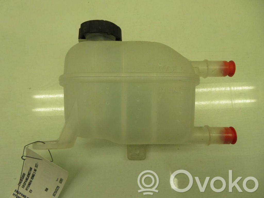Hyundai Ioniq 5 Vaso di espansione carburante 