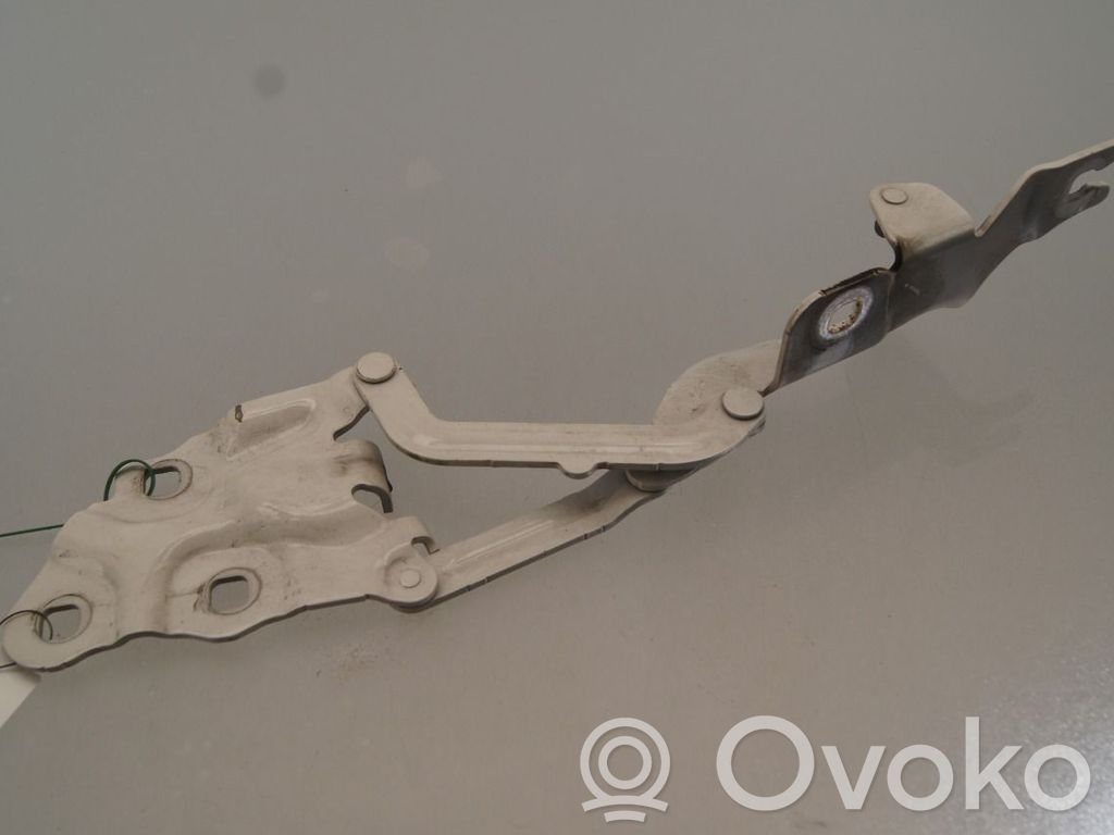BMW X3 F25 Cerniere del vano motore/cofano