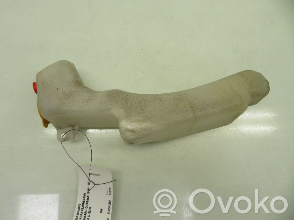 Subaru Outback Vas expansiune combustibil 