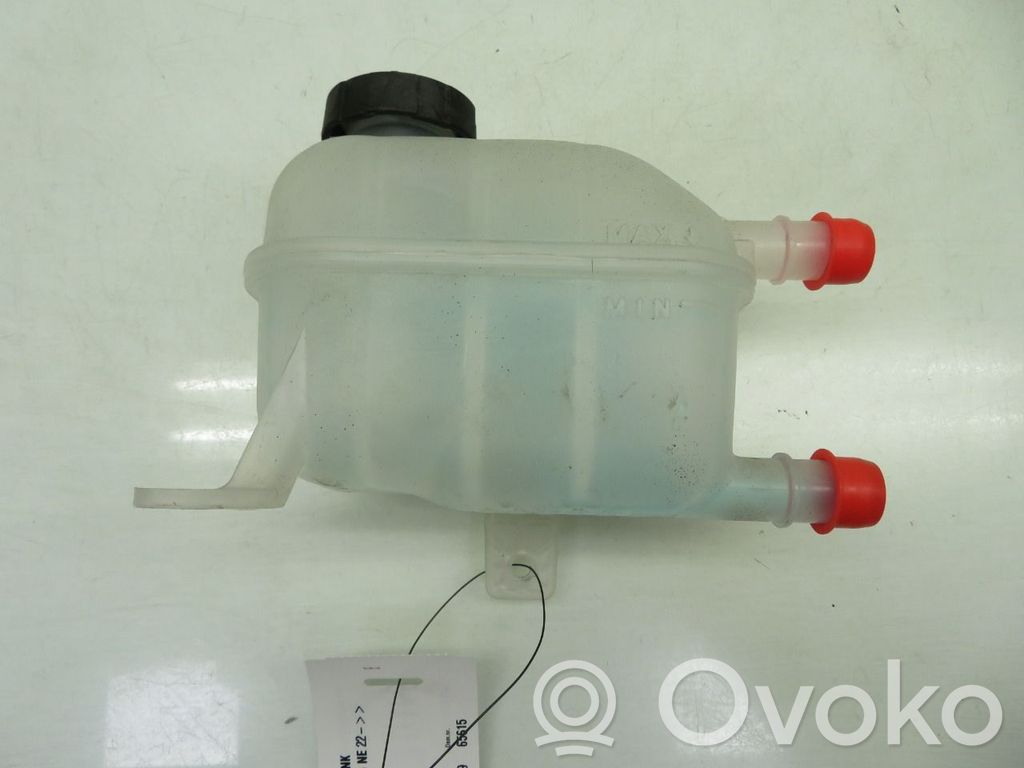 Hyundai Ioniq 5 Vaso di espansione carburante 