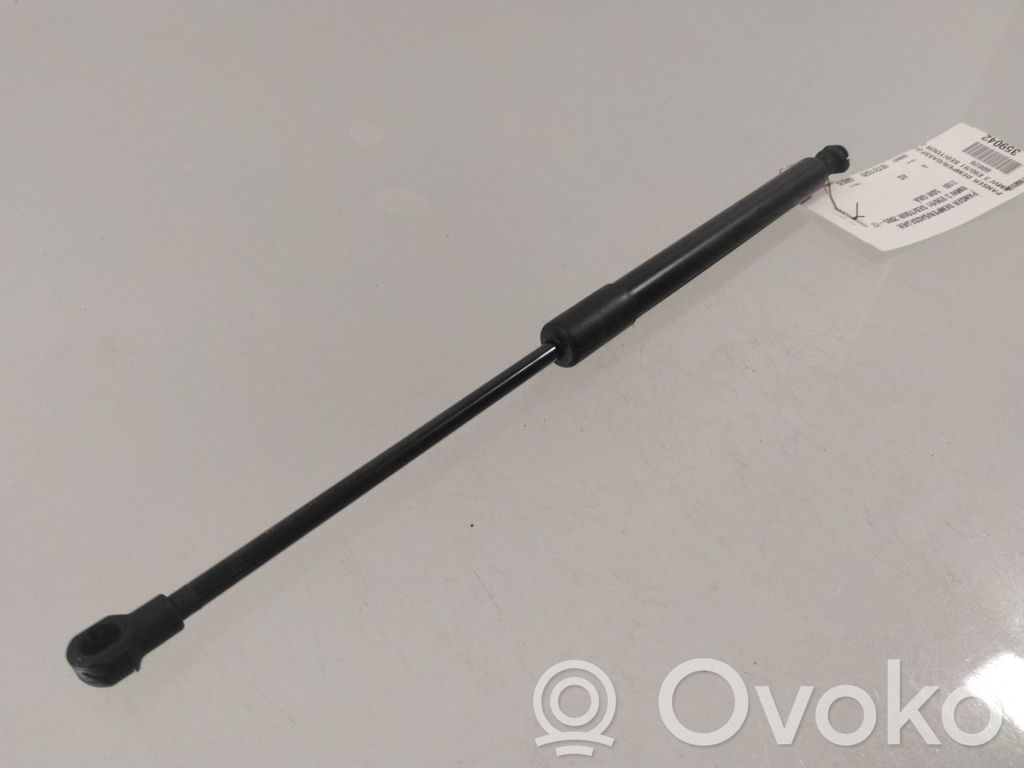 BMW 3 E90 E91 Ammortizzatore portellone anteriore/cofano