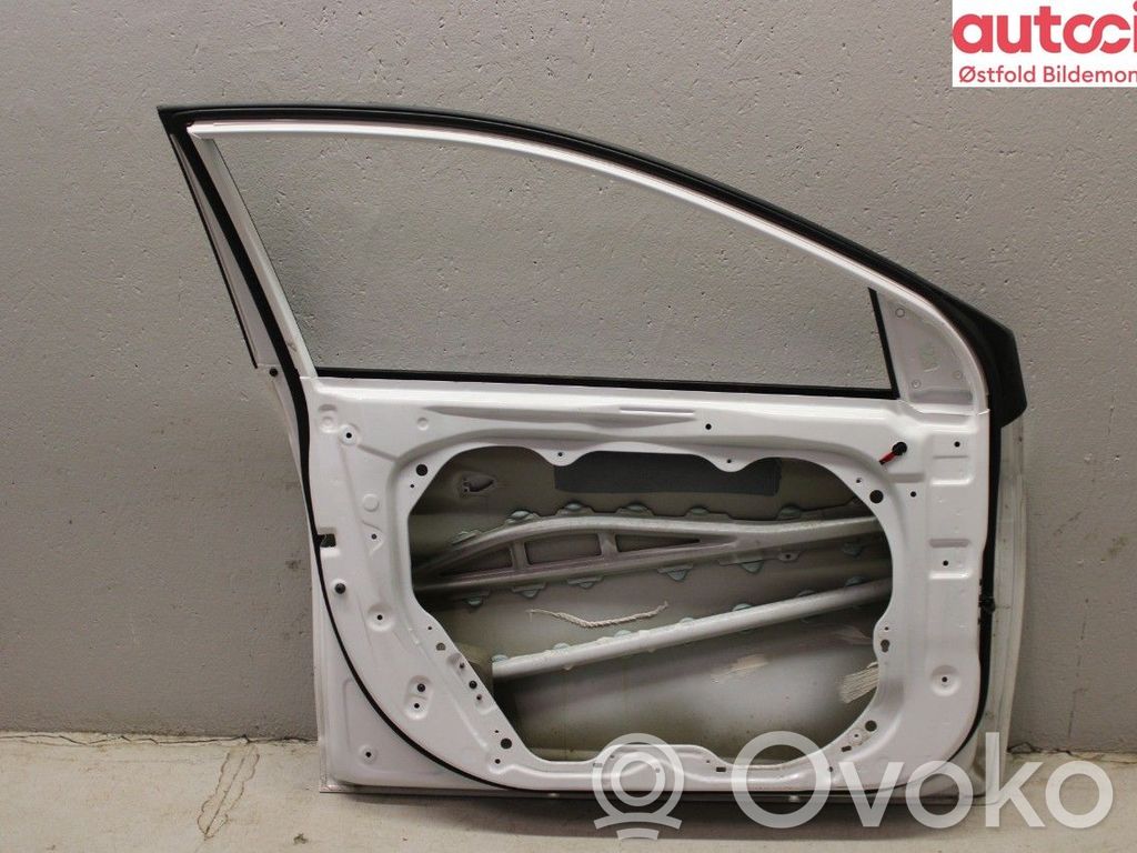 Hyundai Ioniq Portiera anteriore 
