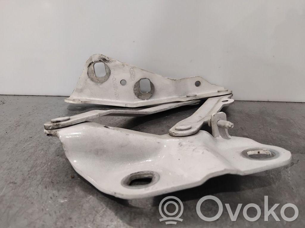 Ford Transit Courier Cerniere del vano motore/cofano