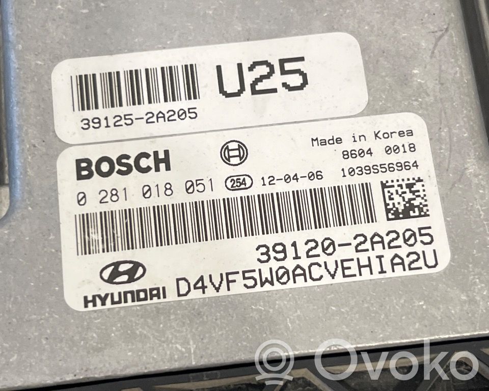 Engine control unit/module ECU   391202A205,391202A205,391202A205,0281018051,391202A205