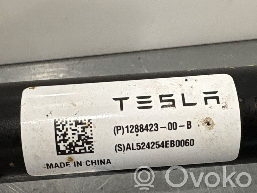 Tesla Model Y Querlenker hinten 