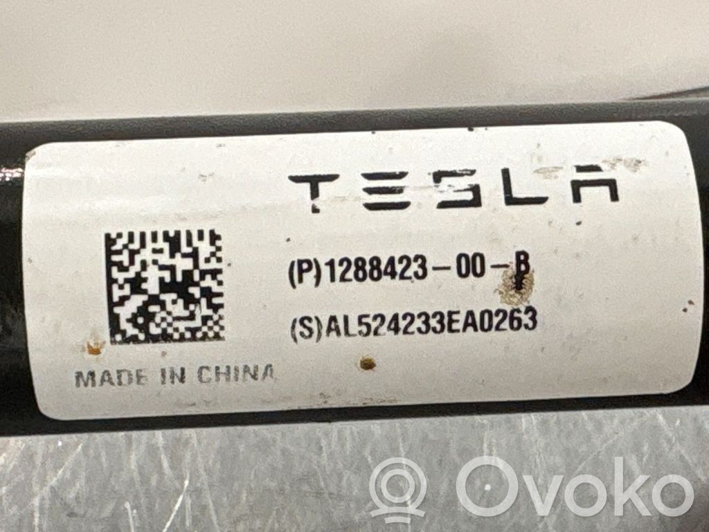 Tesla Model Y Querlenker hinten