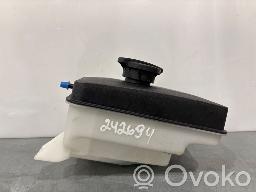 KIA Optima Vas expansiune combustibil 