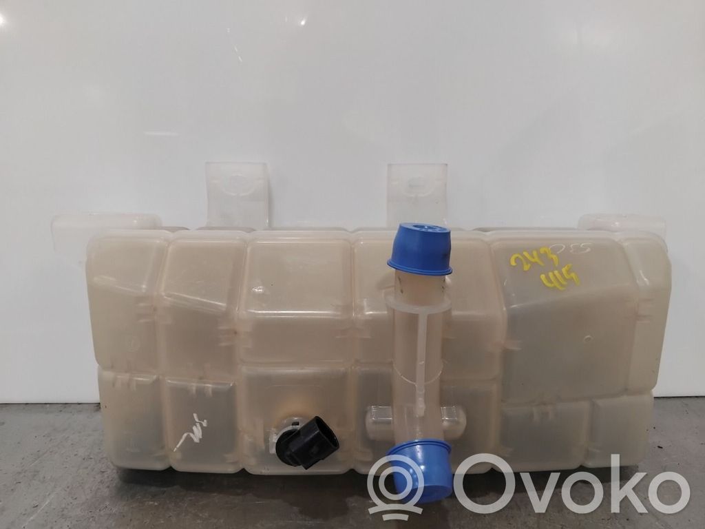 Tesla Model S Vaso di espansione carburante 