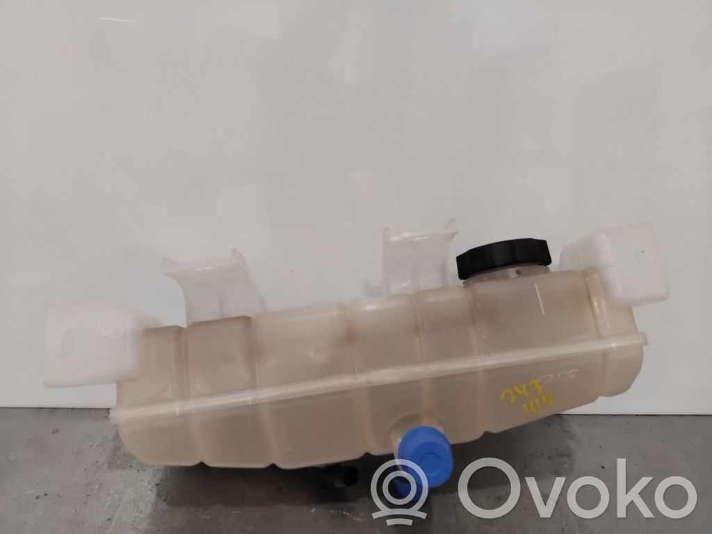Tesla Model S Vase d'expansion de carburant