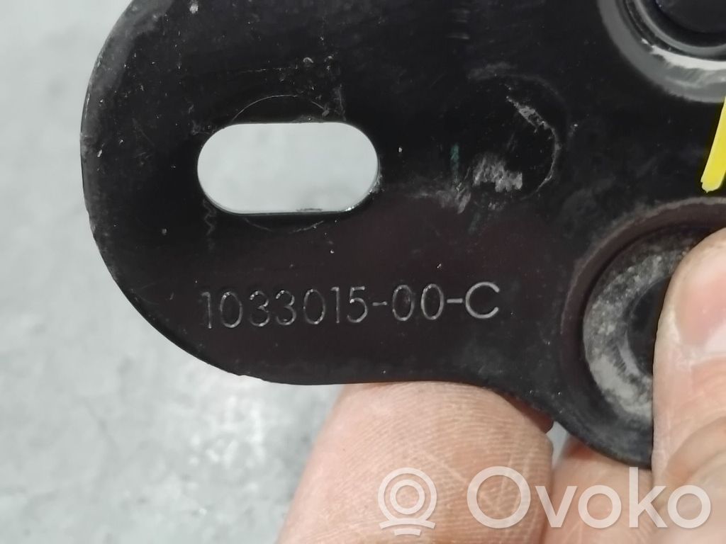 Serrure de capot   103301500C,103301500C,103301500C,103301500C