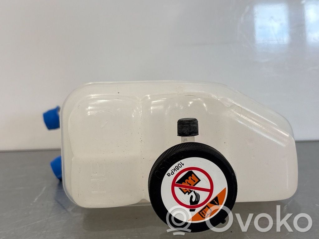 Toyota RAV 4 (XA50) Kraftstoff-Ausgleichsbehälter 