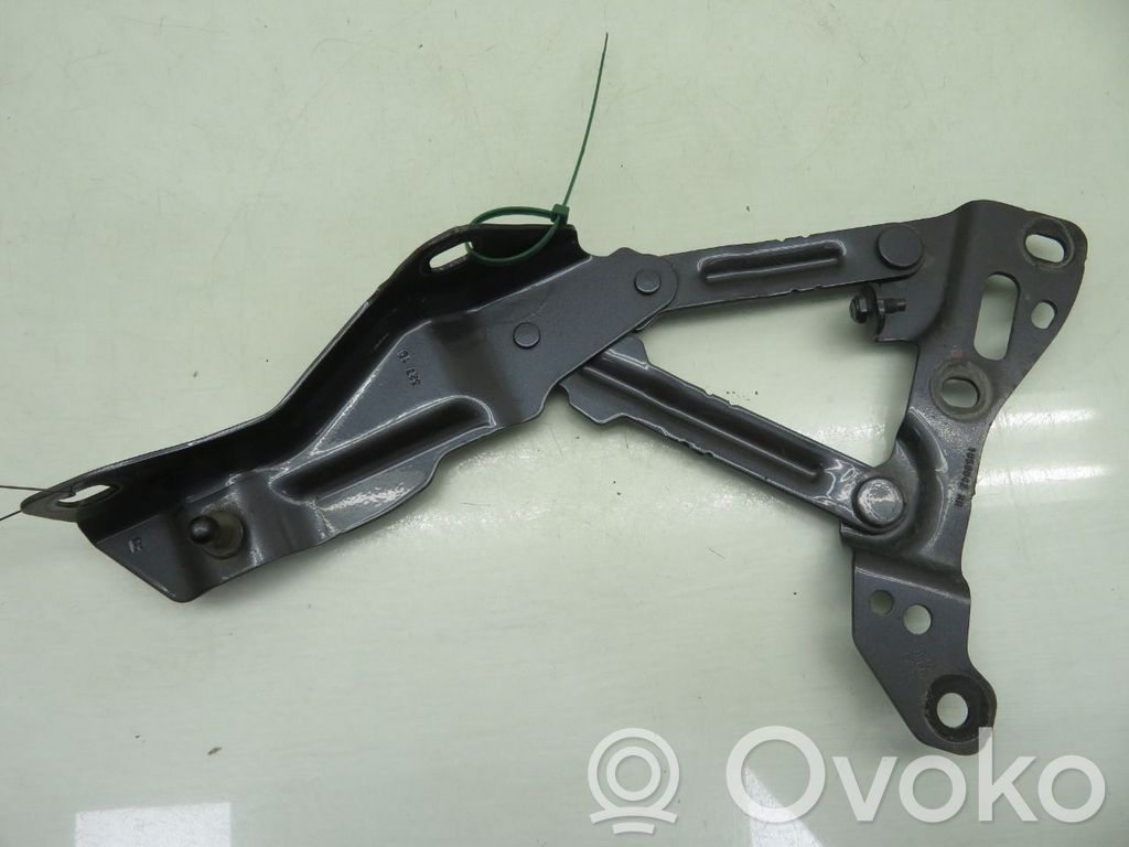Cerniere del vano motore/cofano   105804200B,105804200B