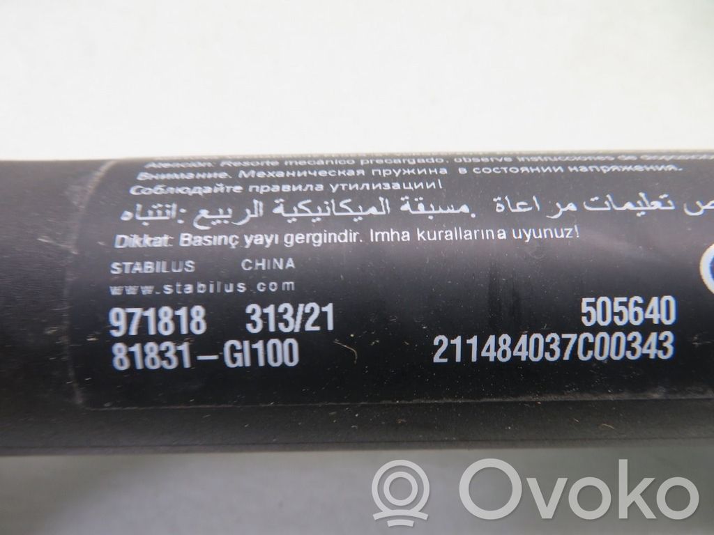 Hyundai Ioniq 5 Ammortizzatore portellone posteriore/bagagliaio 