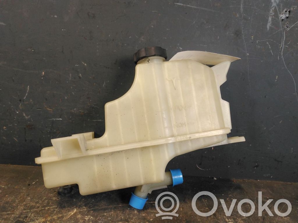 Tesla Model S Vaso di espansione carburante
