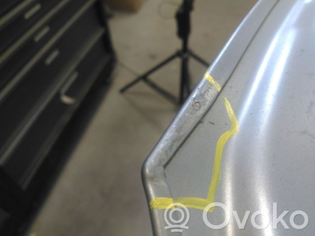 Hyundai Ioniq Motorhaube