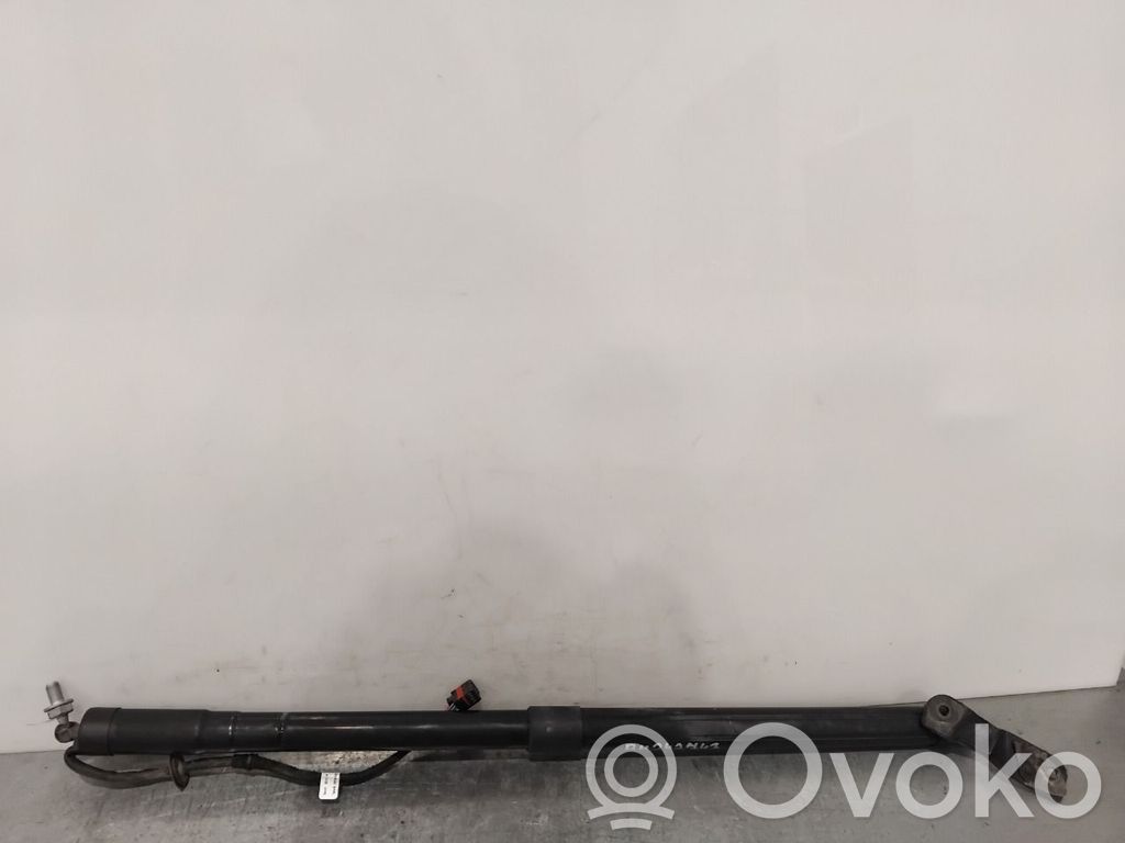 Ford C-MAX II Tailgate/trunk strut/damper 
