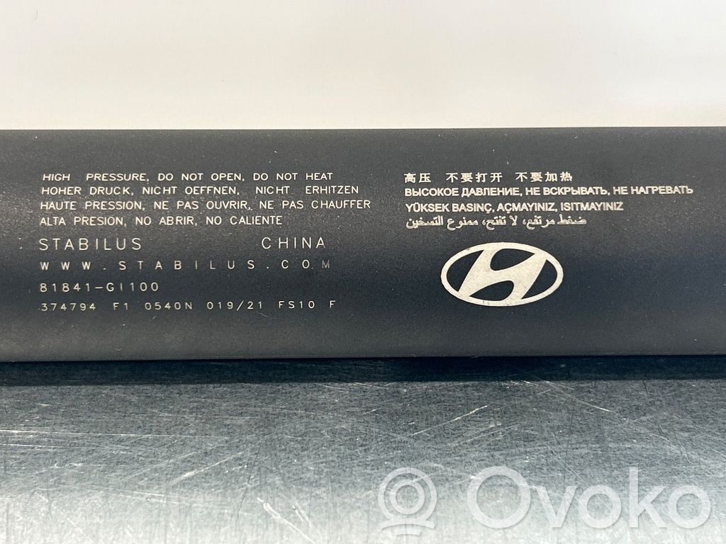 Hyundai Ioniq 5 Vérin de capot arrière