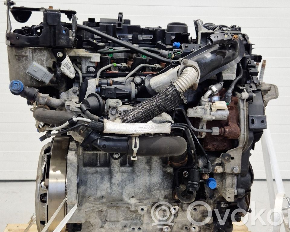 Citroen Berlingo Motore 