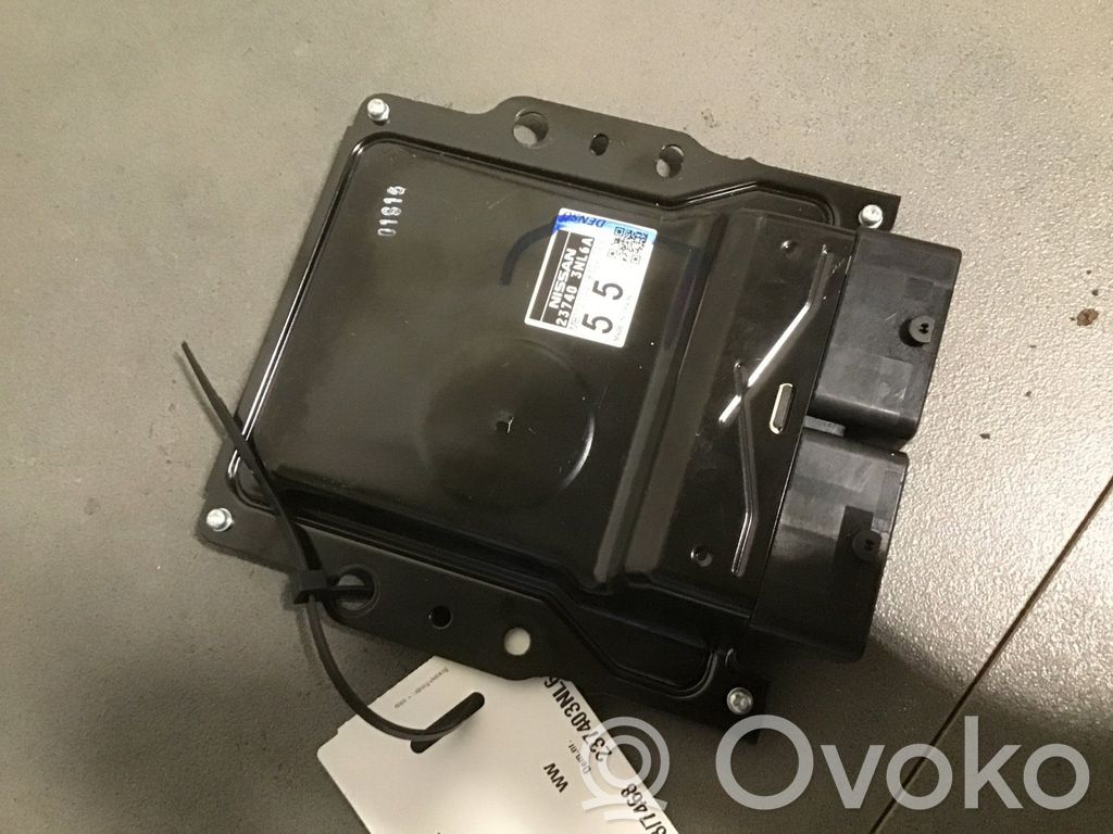 Nissan Leaf I (ZE0) Otras unidades de control/módulos