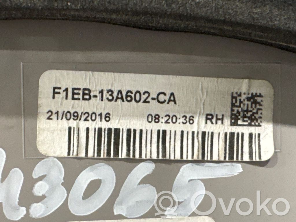 Ford Focus Takavalot