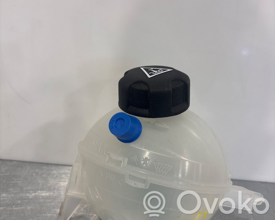 Citroen Berlingo Depósito de expansión de combustible