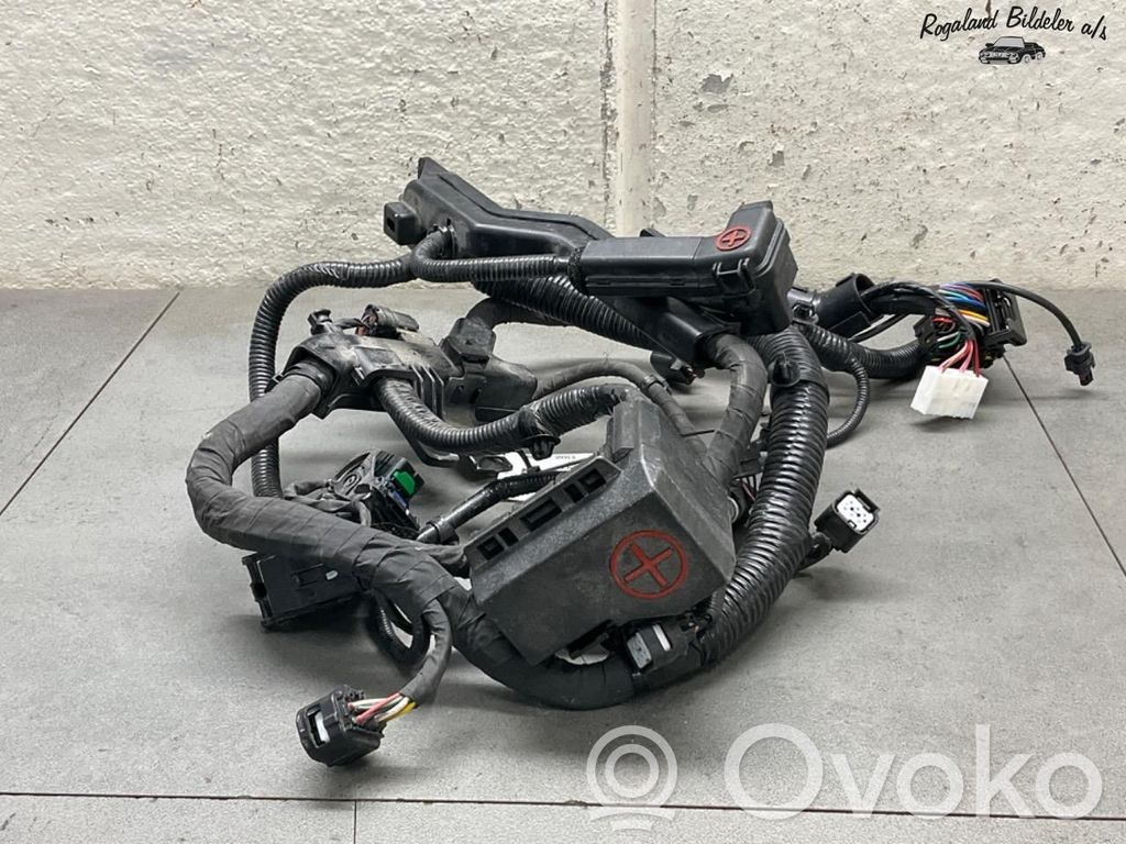 KIA Niro Faisceau de câblage pour installation électrique 