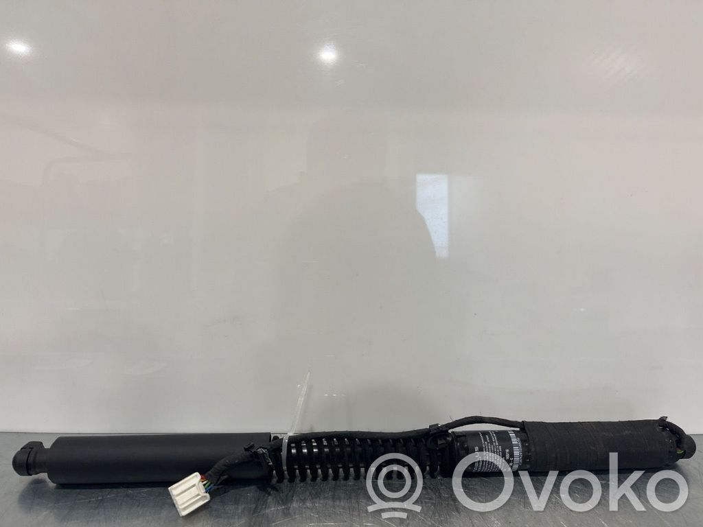 Tesla Model X Priekinių durų atvėrimo ribotuvas