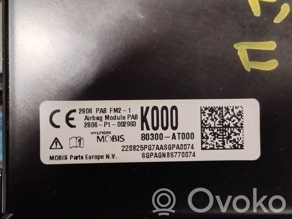 KIA Niro Airbag del passeggero