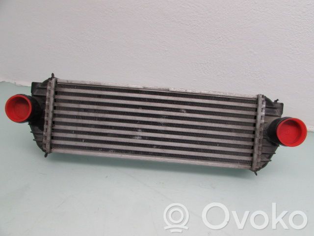 Ford Transit -  Tourneo Connect Radiador intercooler 