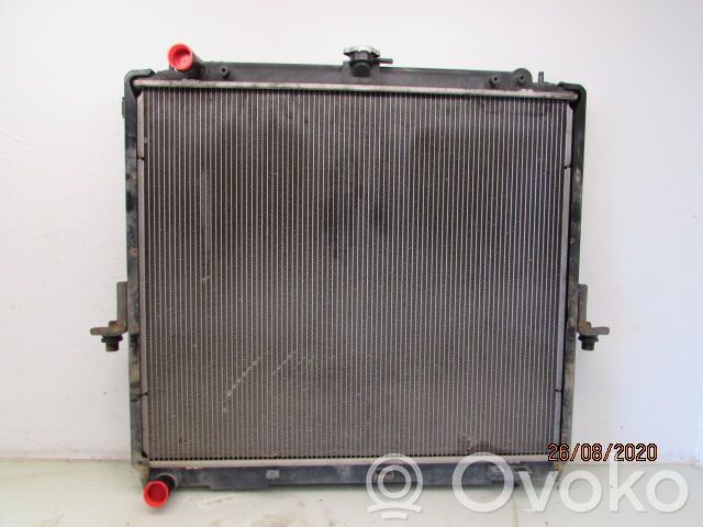 Nissan Navara D40 Radiatore di raffreddamento