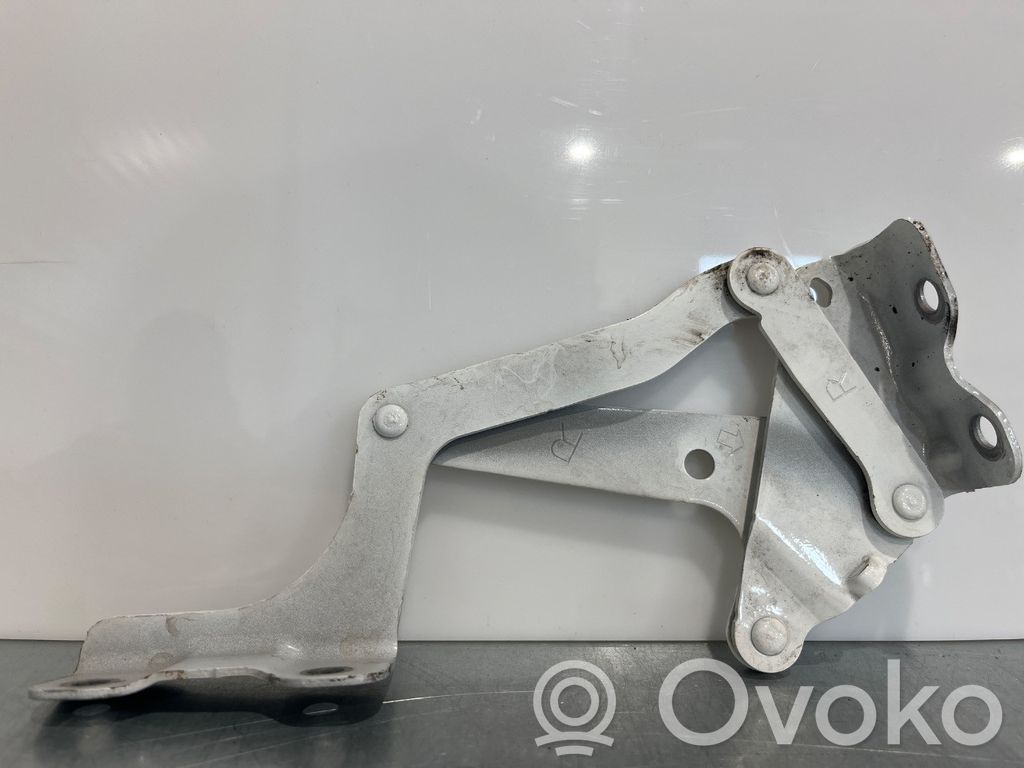 Peugeot iOn Balamale capotă 