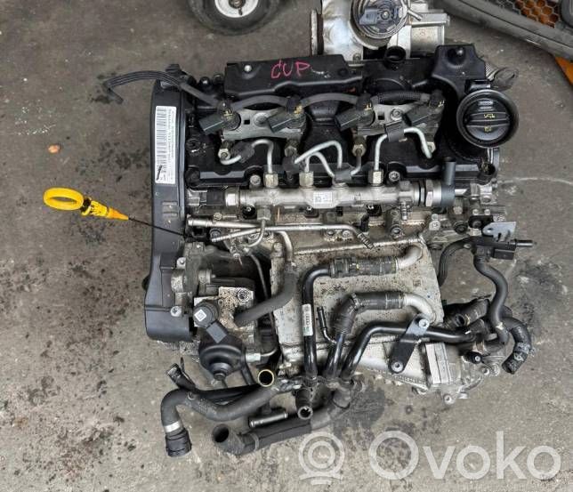 Austauschmotor   CUPA