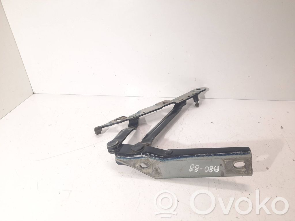 Tailgate/trunk/boot hinge