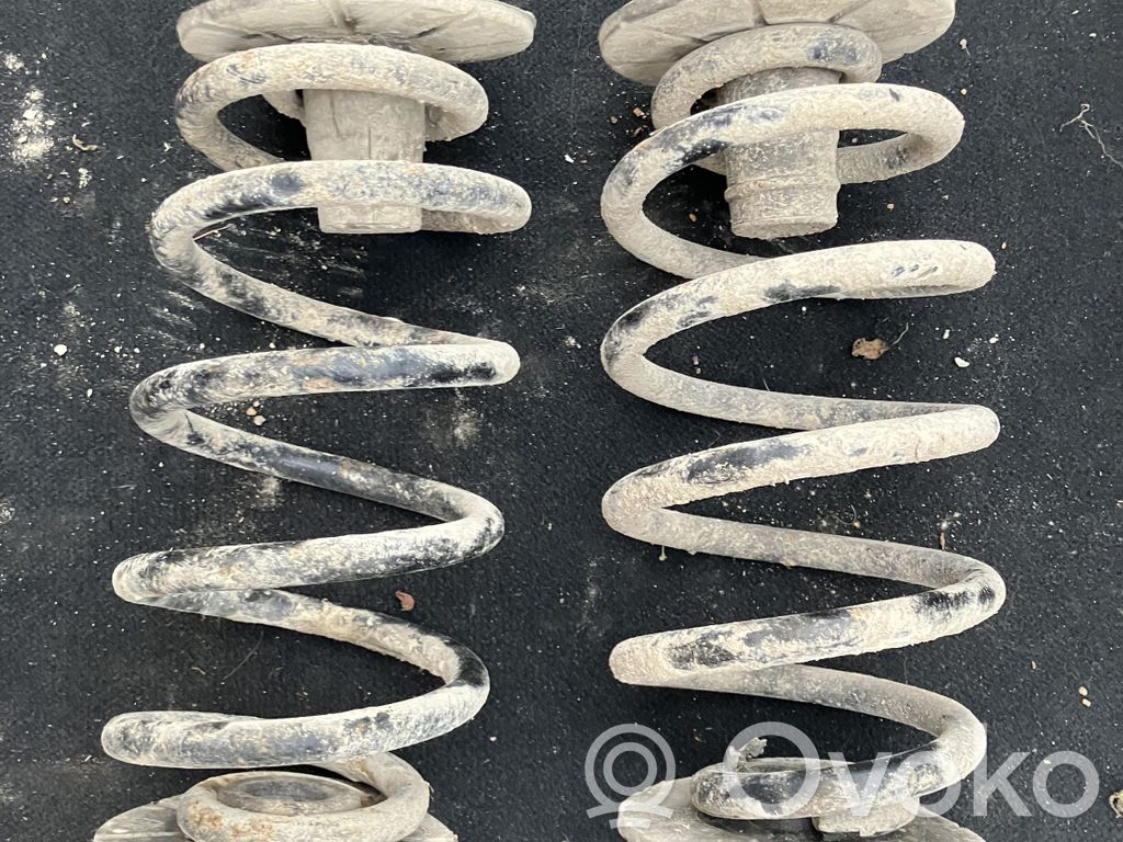 Rear coil spring