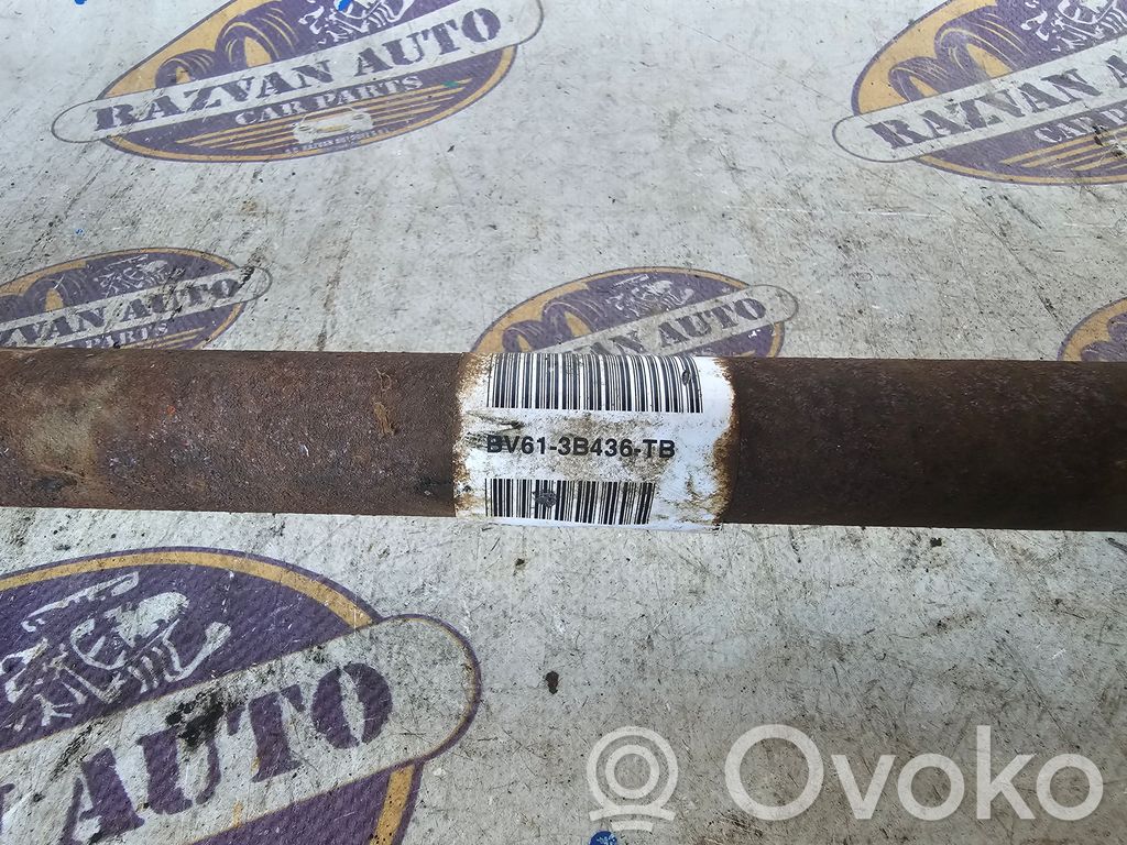Priekinis pusašis   BV613B436TB,BV613B436TB