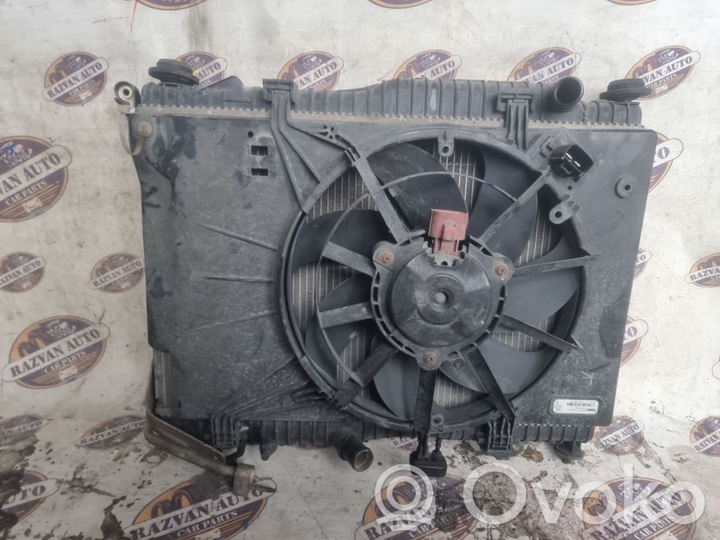 Radiator set   23344