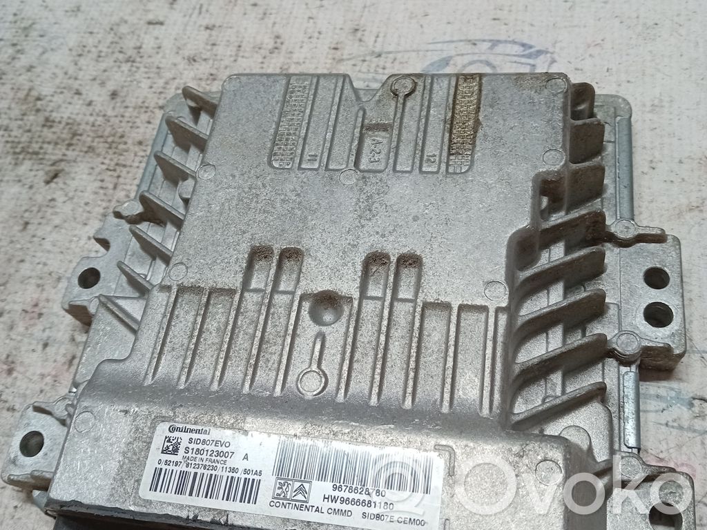 Engine control unit/module   S180123007,24907,S180123007