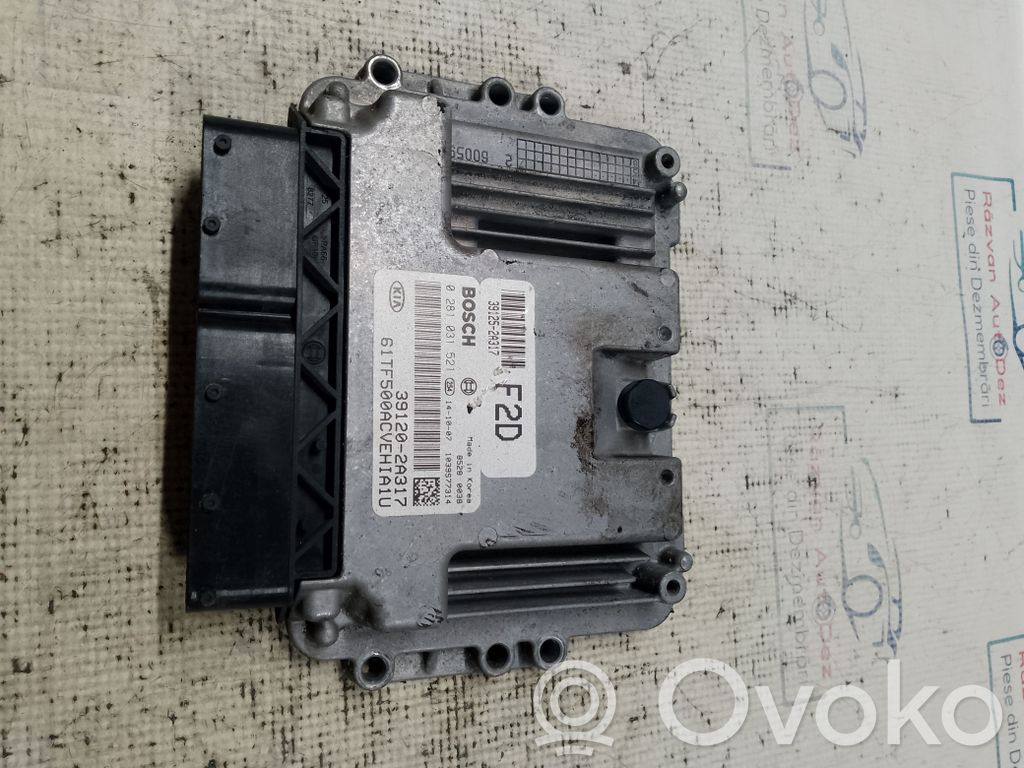Engine control unit/module   391202A317,30585,391202A317