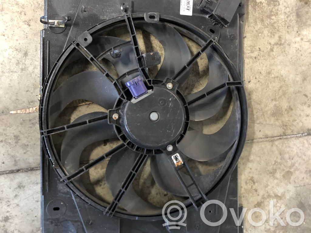 Elektrinis radiatorių ventiliatorius   214818009R,214818009R