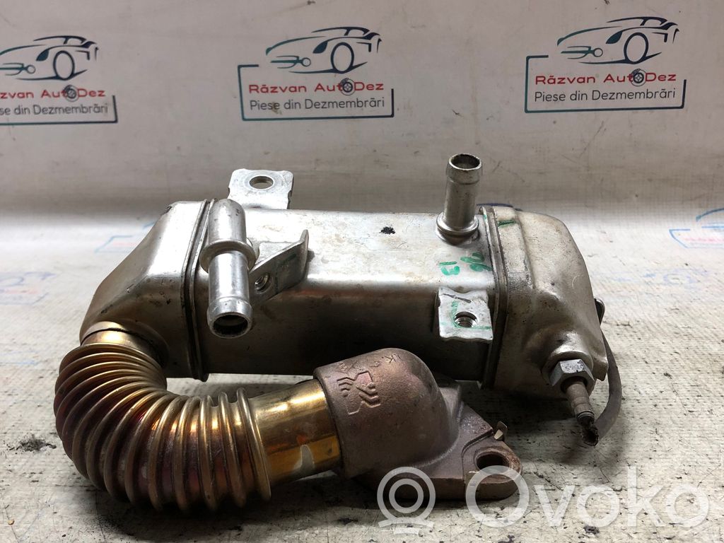 Renault Koleos I Охладитель EGR 