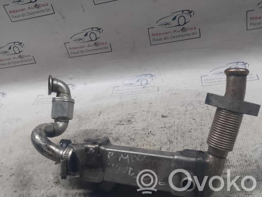 BMW 501 Valvola di raffreddamento EGR 