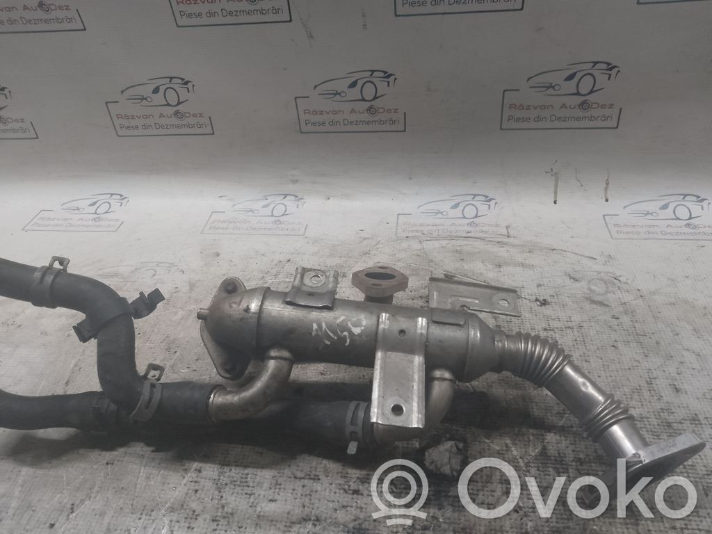 Skoda Roomster (5J) EGR valve cooler 
