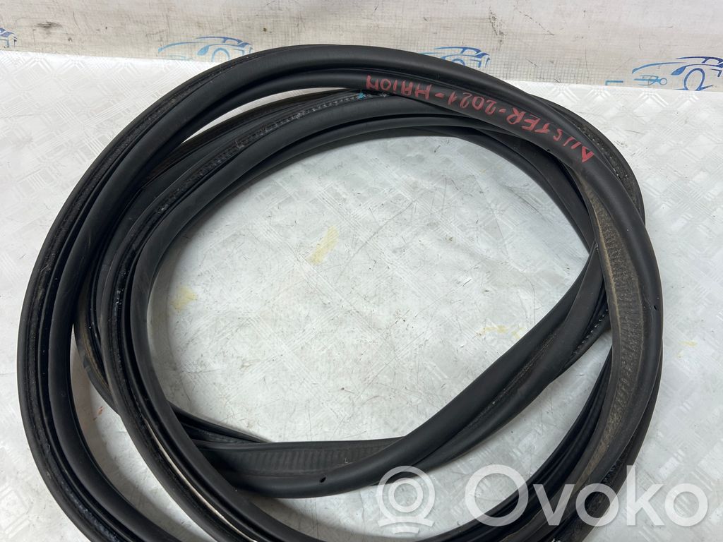 Seal rubber (tailgate)