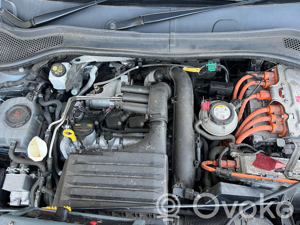 Engine   DGE