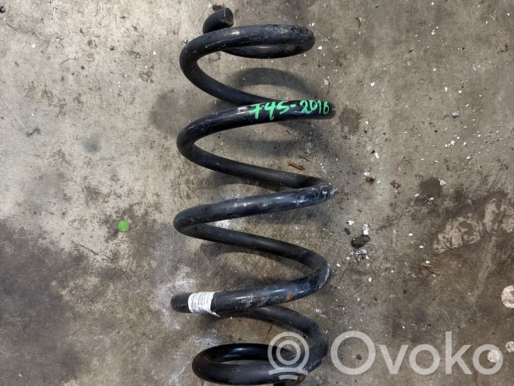 Feder hinten   103877