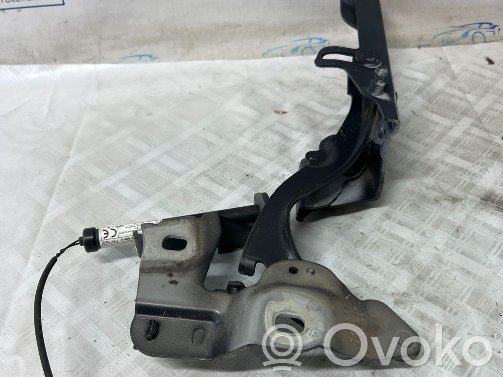 BMW 2 114 E6 E10 E20 Cerniere del vano motore/cofano 