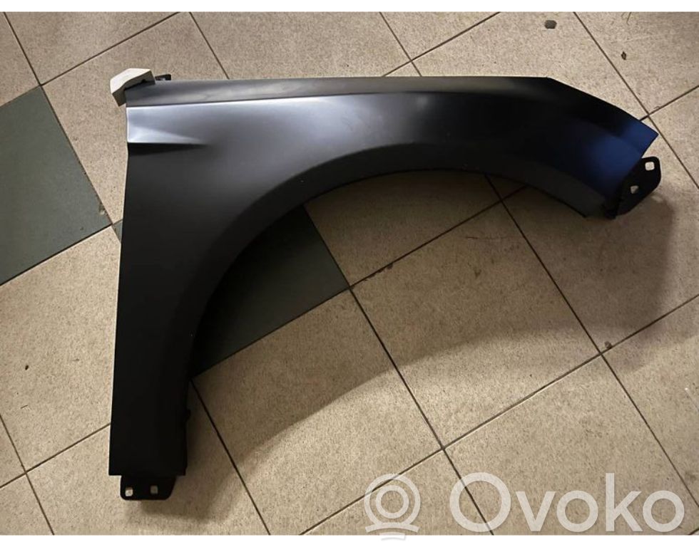 Spārns   BM5Z16005A,1729700,99E44R,6504042536312P,9944RW