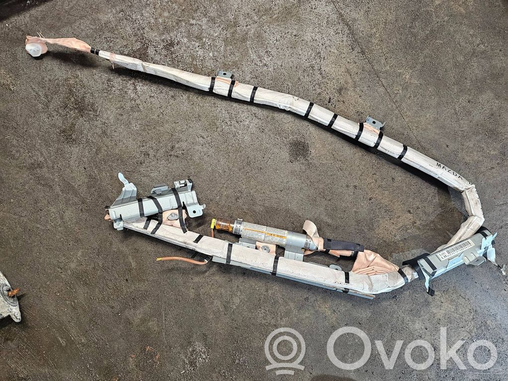 Airbag del techo   C1010803635